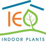 Action Indoor Plant Hire - Other in Brisbane