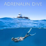Adrenalin Dive - Other in Townsville