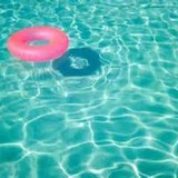 All Building, Pool & Pest Inspections - Other in Redlynch