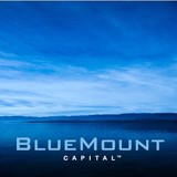 BlueMount Capital (WA) Pty Ltd - Other in Subiaco