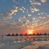 Broome Camel Safaris - Other in Broome