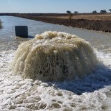 Fluid Engineering - Other in Griffith