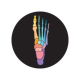 Foot Focus Podiatry - Other in Wilson