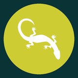 Green Goanna Pty Ltd - Other in Granville