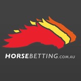 Hawkesbury Racehorse Transport - Other in Clarendon