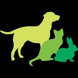 Hawthorn East Vet - Veterinarians/Vets in Hawthorn East