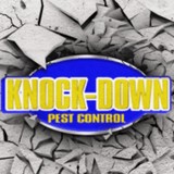 Knock-Down Pest Control - Pest Control in Belmore