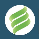 Lighting Illusions - Other in Windsor