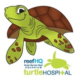 Reef HQ Aquarium - Other in Townsville