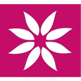 Spice Health & Fitness - Other in Kingston