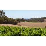 Wine Lovers Tours - Other in Flagstaff Hill