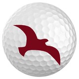 Wynnum Golf Club Inc - Other in Wynnum