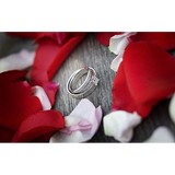 Mark Moore Photography - Other in Papakura