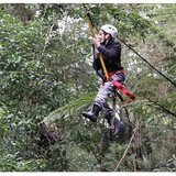 Sonshine Ranch Outdoor Recreation - Other in Papakura