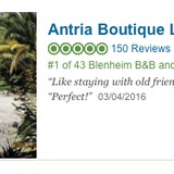 Antria Boutique Lodge - Other in Ashburton