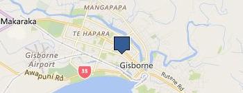 NZ General Surgery and Endoscopy Ltd location map