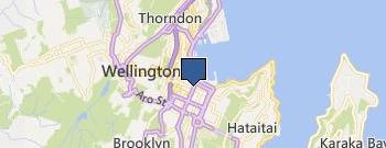 Radius Pharmacy Willis St location map