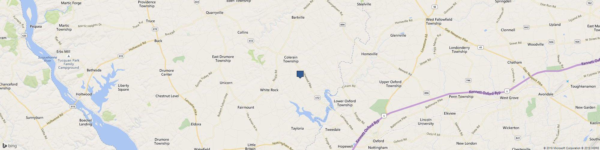 The Whale Camp Inc cover photo