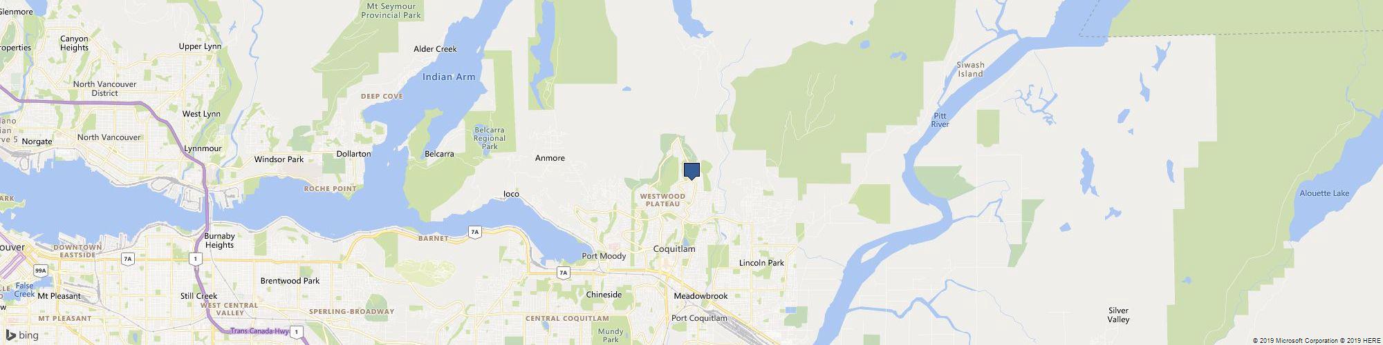 The Urban Ninja Painter Coquitlam cover photo