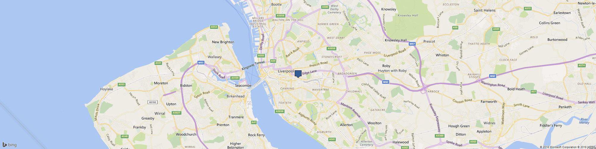 BETTA FISH STORE BETTA FISH FOR SALE cover photo