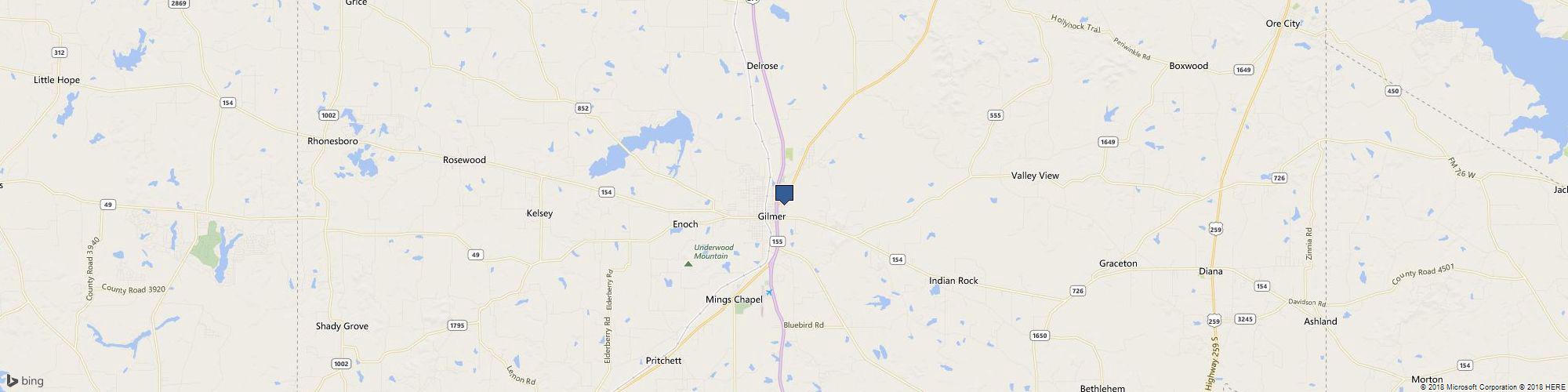 Bizzy Bee Pest Solutions cover photo