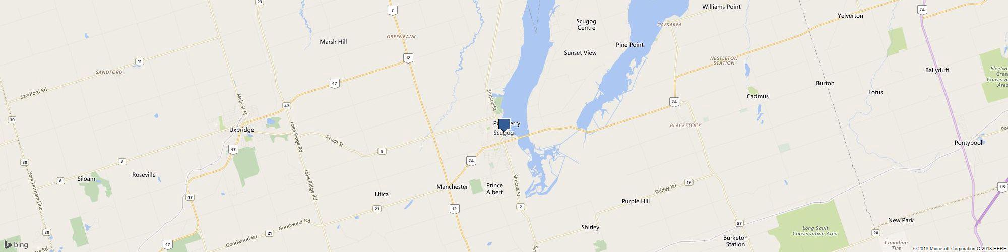 Paula Lishman Limited cover photo