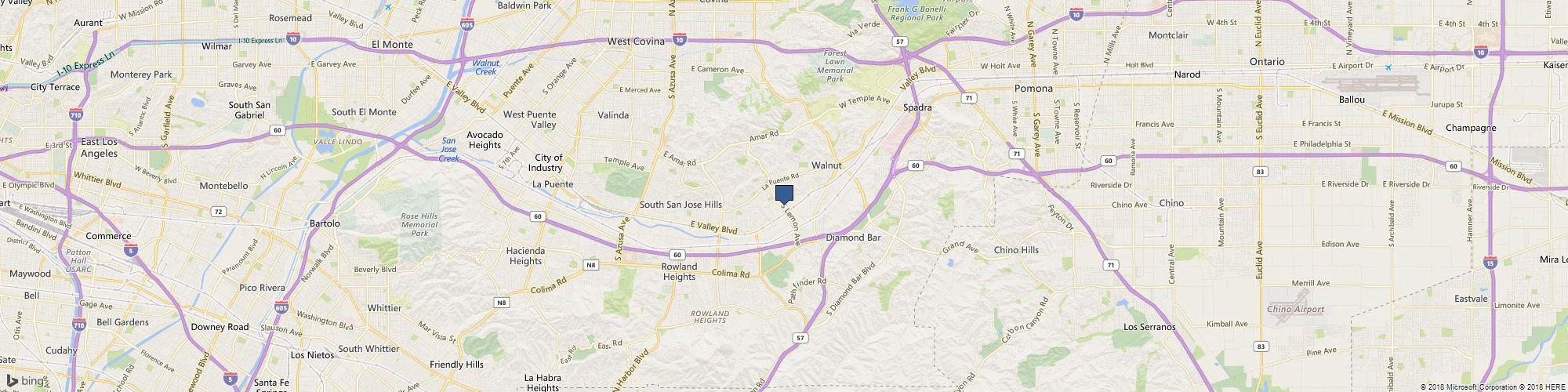 Dalmatians Playful Puppy Applique Embroidery Design cover photo