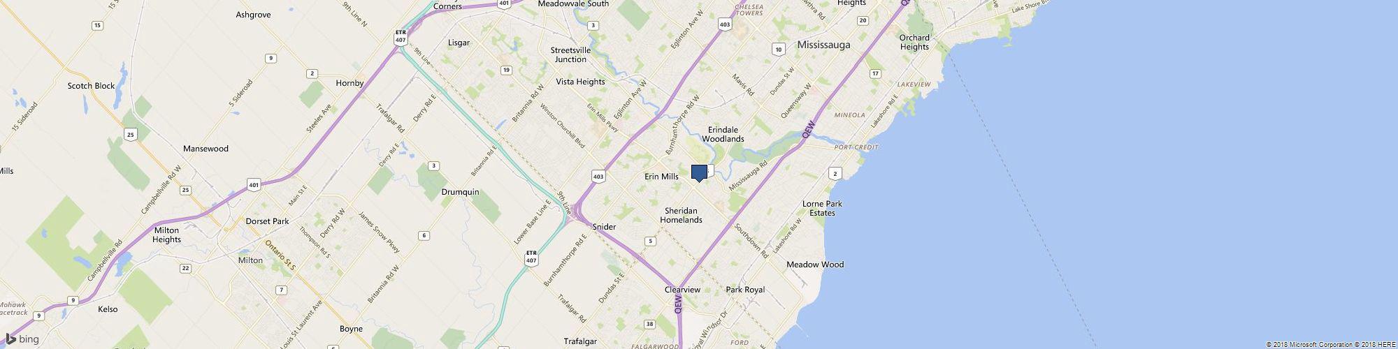 Align Custom Fit Footwear cover photo