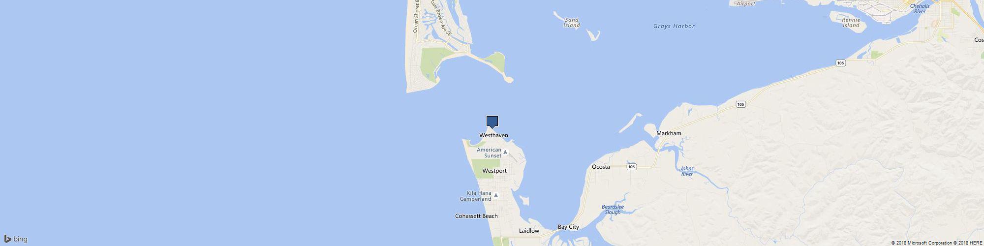Ocean Sportfishing Charters cover photo