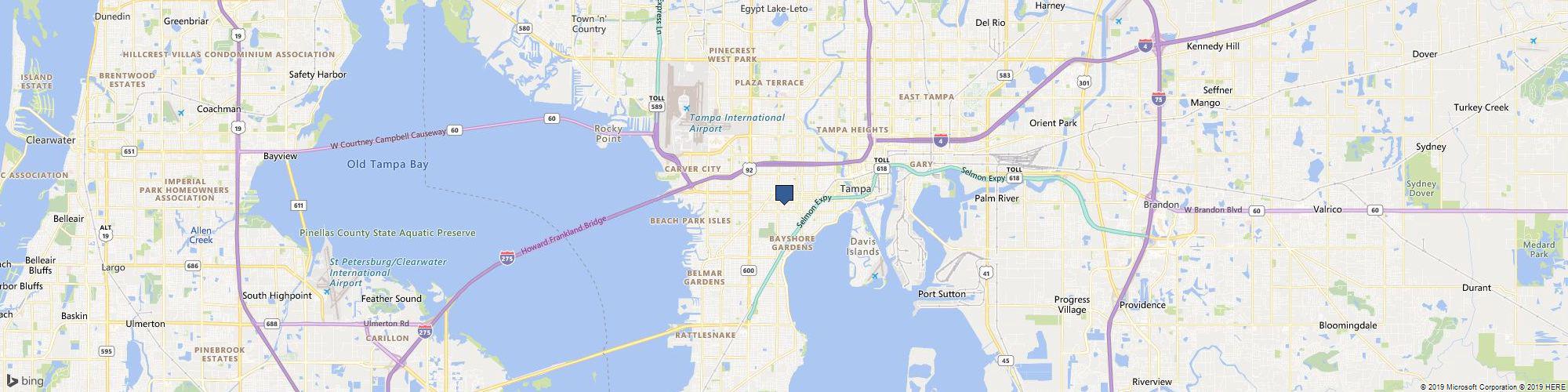Vein Specialists of Tampa cover photo