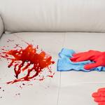 Melbourne  - photo 1