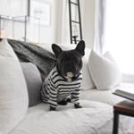 Melbourne  - photo 3