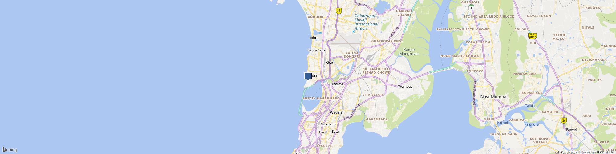 Neemli Naturals cover photo