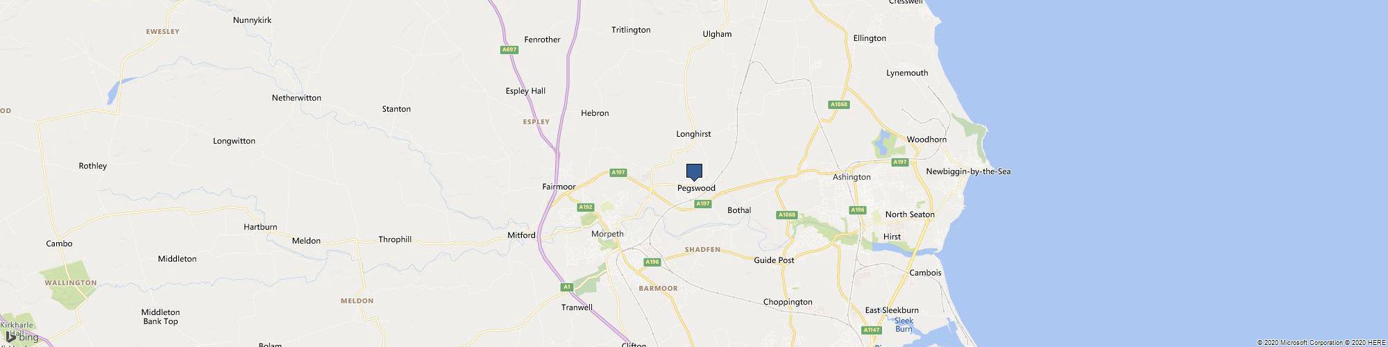 Petiquette Collars cover photo