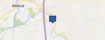 Excel Services location map