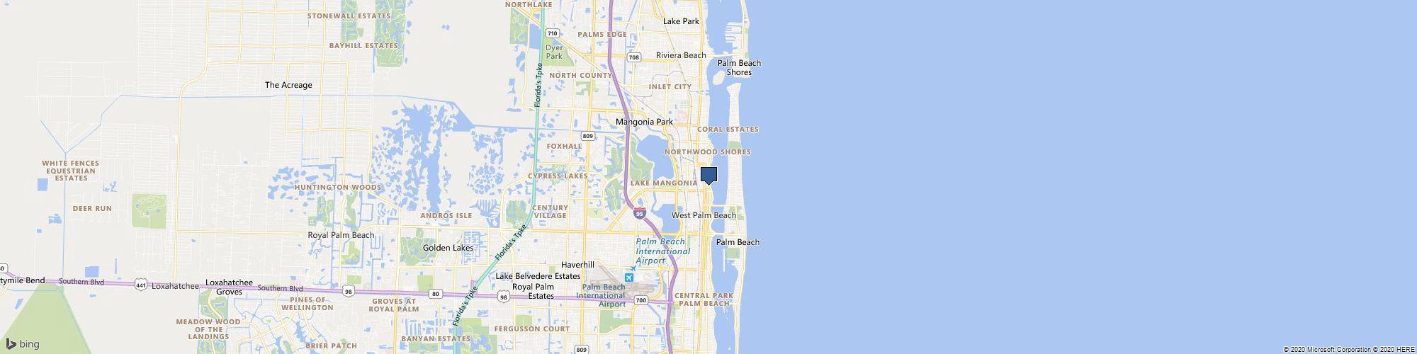 Palm Beach Face: Michael L. Schwartz, MD cover photo