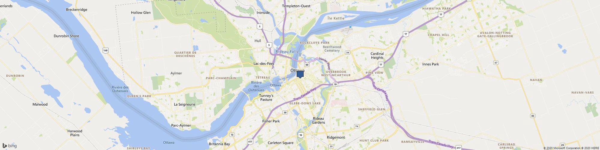 Leafythings cover photo