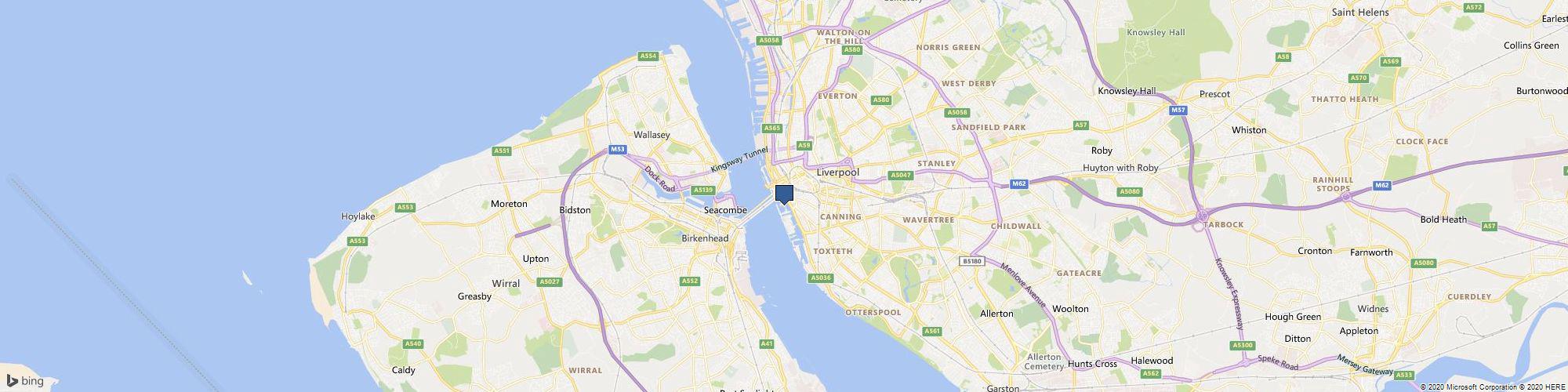 Triggerfish Writing cover photo