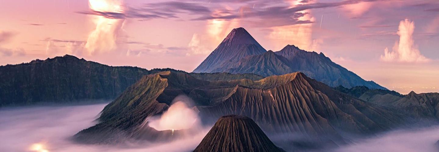 Wildhaven cover photo