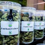 LivWell Enlightened Health Marijuana Dispensary - photo 2