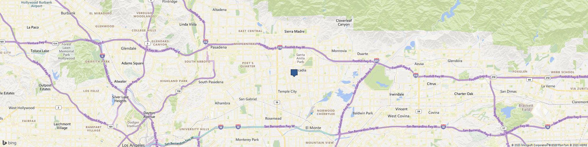 Louis Vuittion Handbag Shopping Reviews articles cover photo