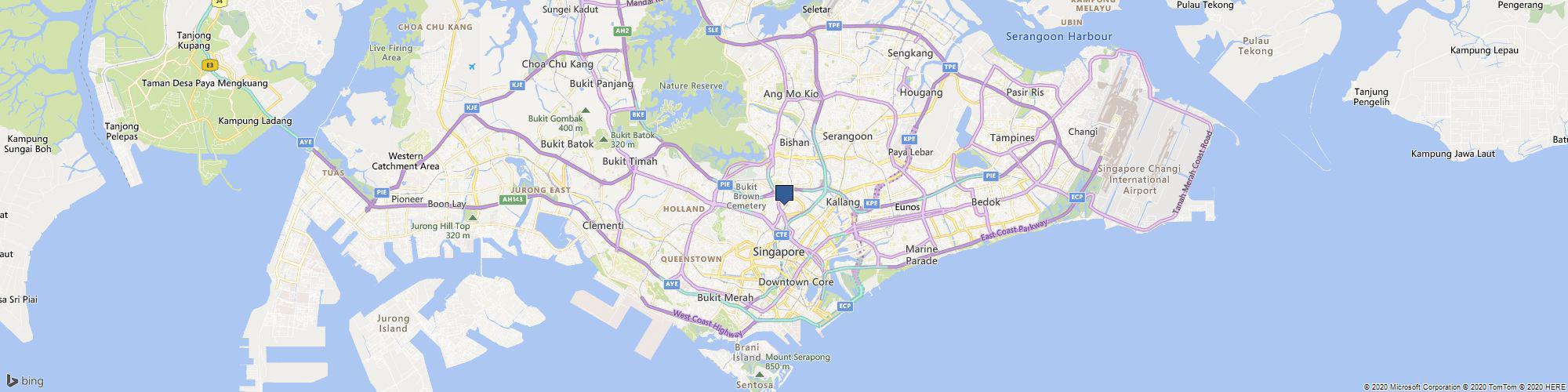 Dr Shirley Bang cover photo