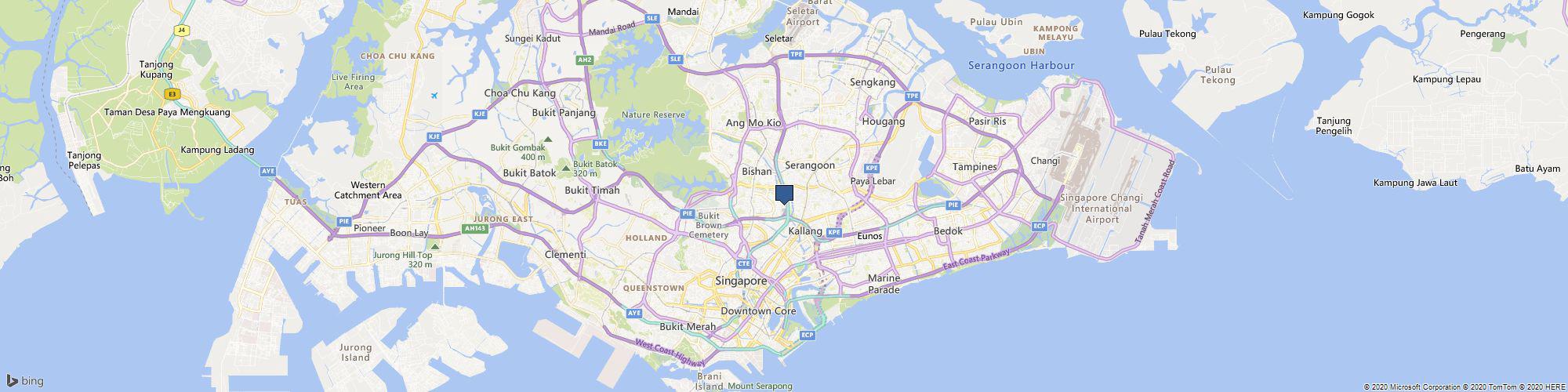 Flying Home cover photo