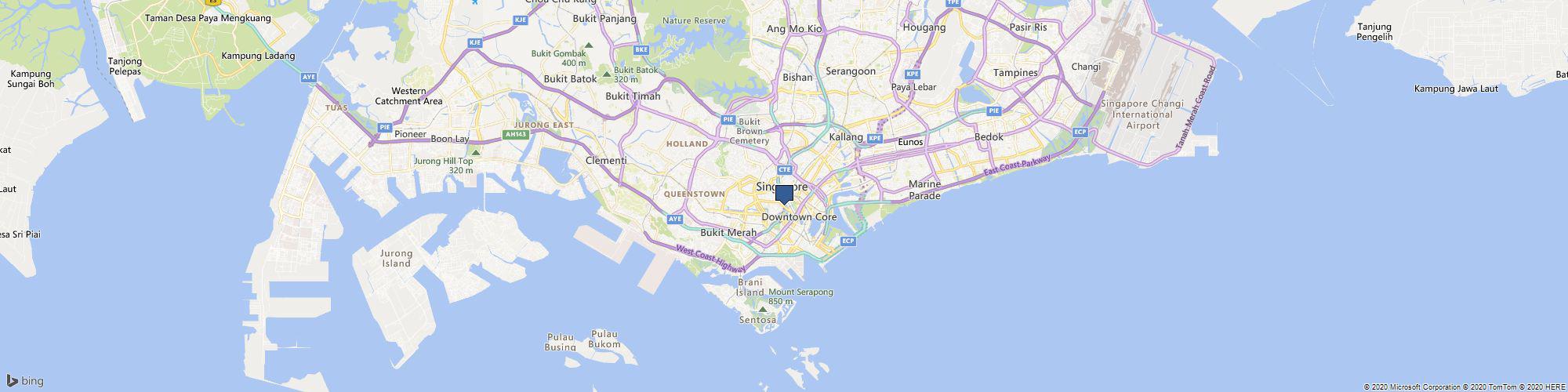 Bones and Beyond cover photo