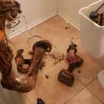 Drain Pros - photo 1