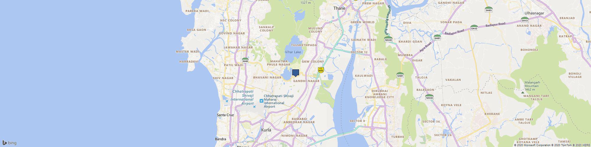 The Woodpeckers cover photo