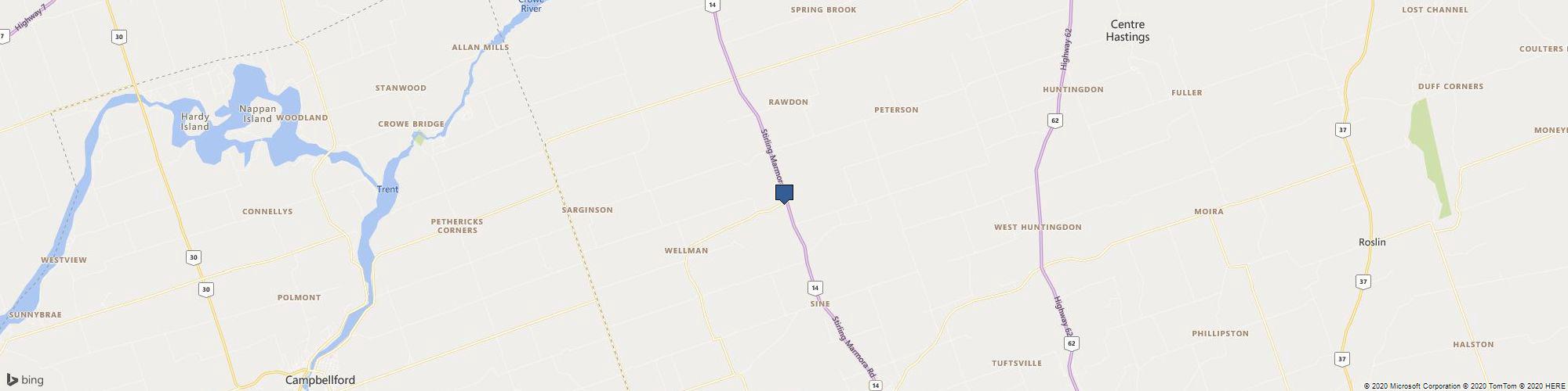 Hog Express cover photo