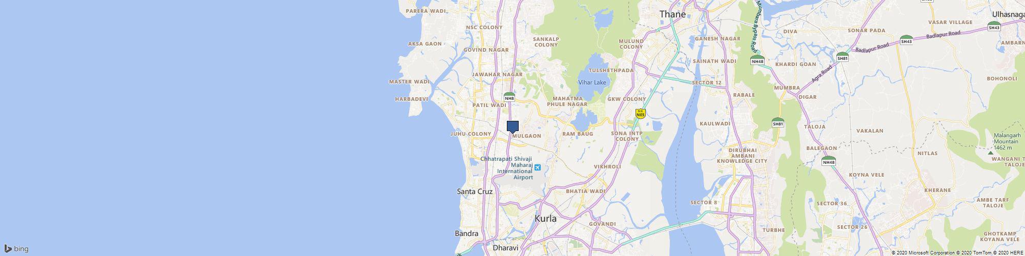 Mouth and Foot Painting Artists cover photo