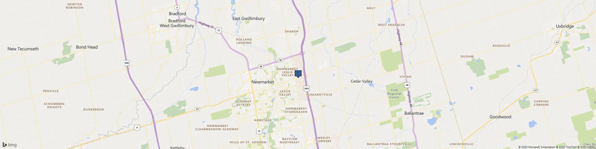 Painters Newmarket cover photo