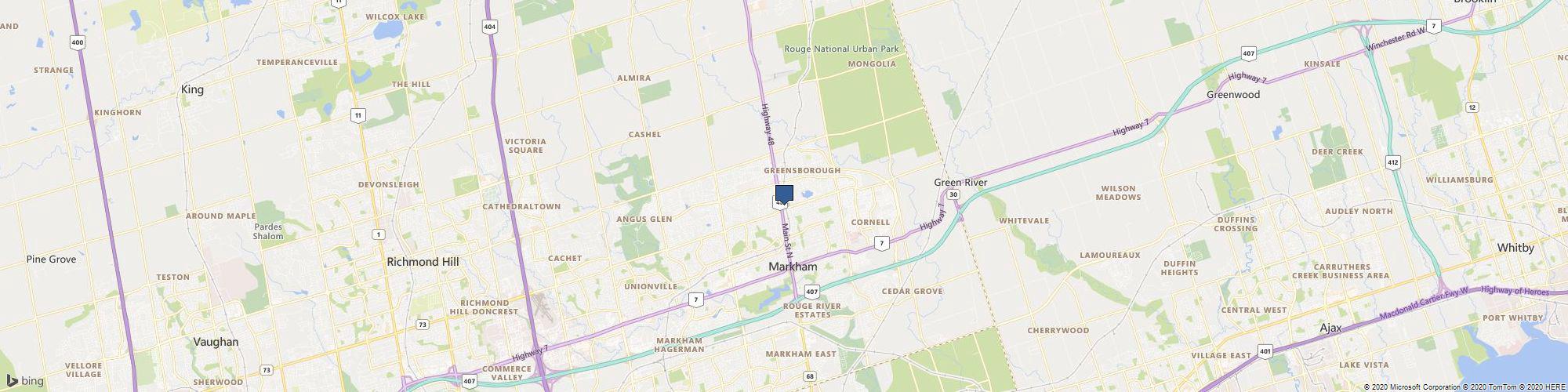 Painters Markham cover photo